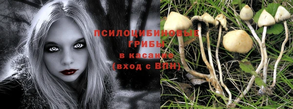 соль ск Абдулино